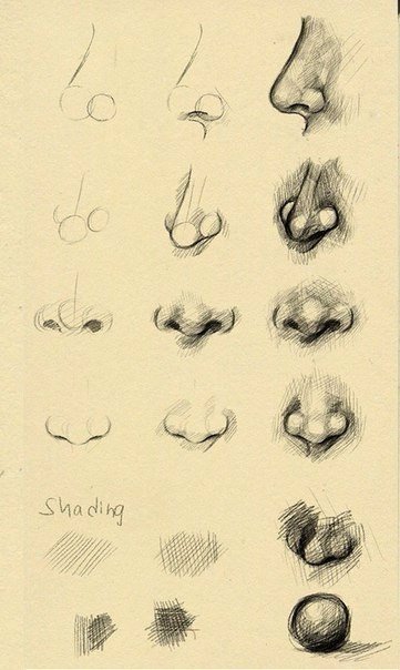 Учимся рисовать элементы лица Учимся рисовать элементы лица