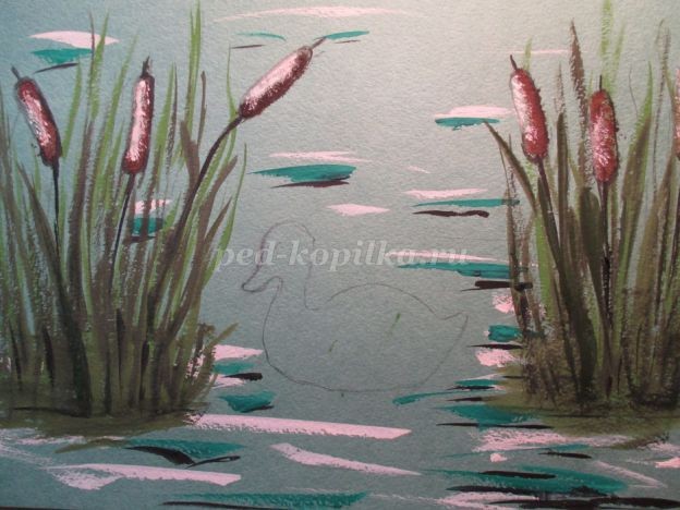 ​Уточка в камышах: часть 2