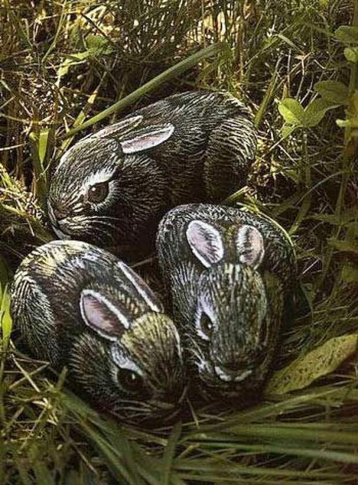 ​Рисуем с детьми кроликов на камнях