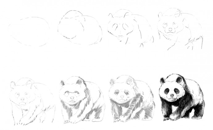 ​Рисуем с детьми панду