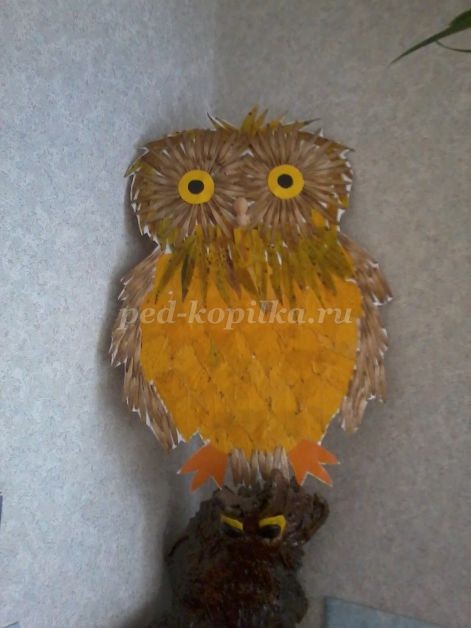 Совушка-сова из крылатки клёна: часть 3 Совушка-сова из крылатки клёна: часть 3