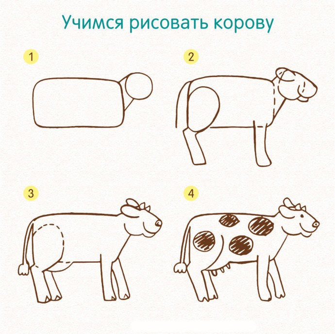 ​Учимся рисовать животных