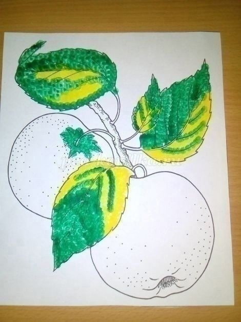 Ветка с яблоками Ветка с яблоками