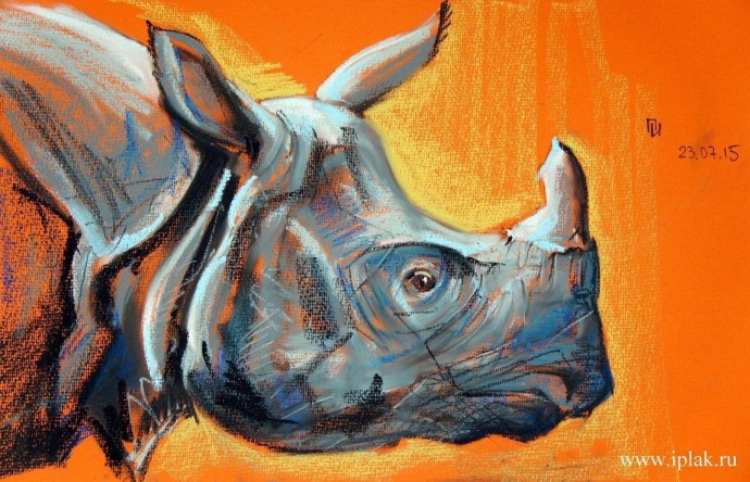 ​Рисуем с детьми носорога