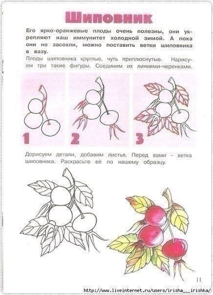 Рисуем самые разные осенние листья