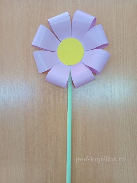 Цветок космеи: часть 2 Цветок космеи: часть 2