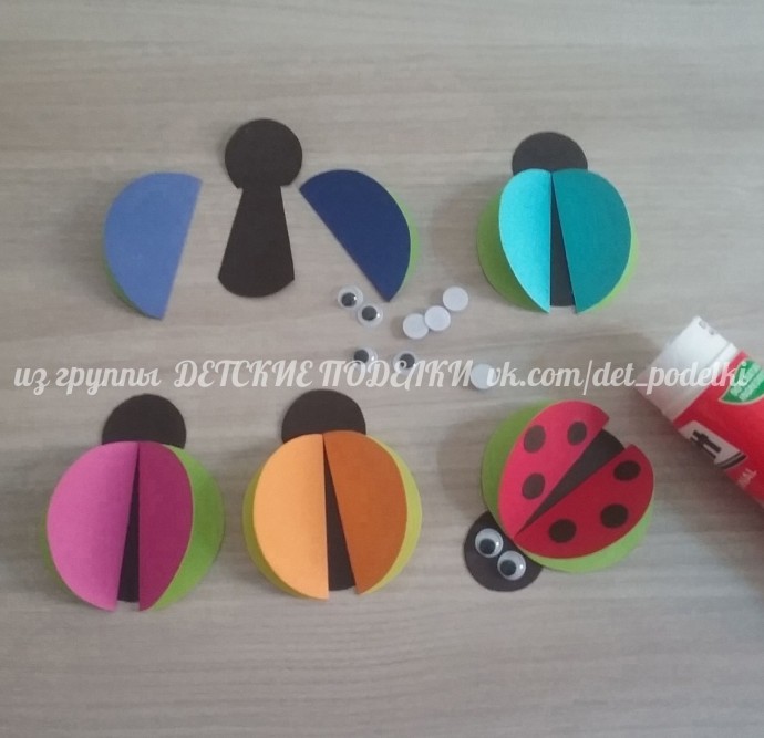 Разноцветные божьи коровки Разноцветные божьи коровки