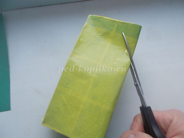 Чудо-дерево Чудо-дерево