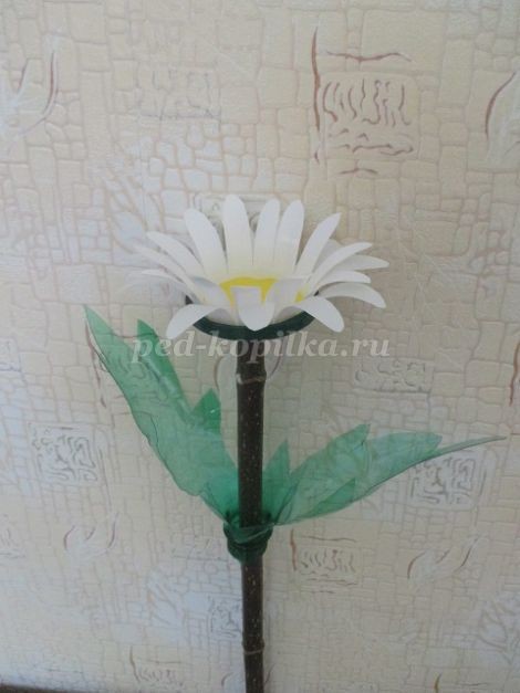 Ромашки из бросового материала детскими руками: часть 5