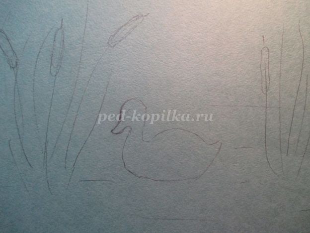 ​Уточка в камышах: часть 1