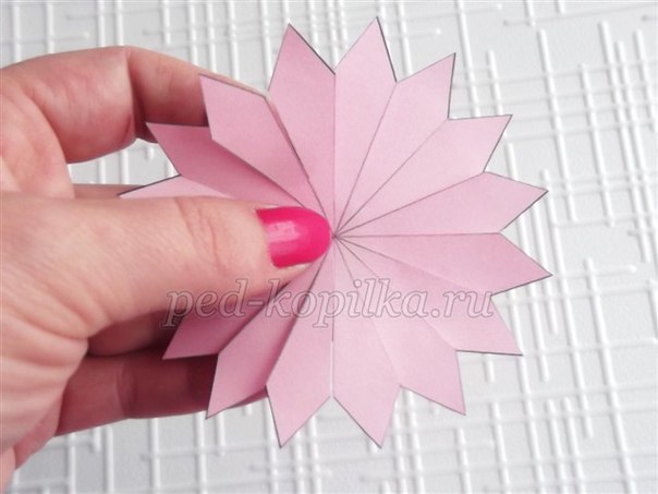 Цветы из бумаги: мастер-класс Цветы из бумаги: мастер-класс