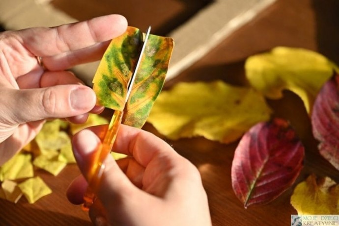Фоторамка из осенних листьев