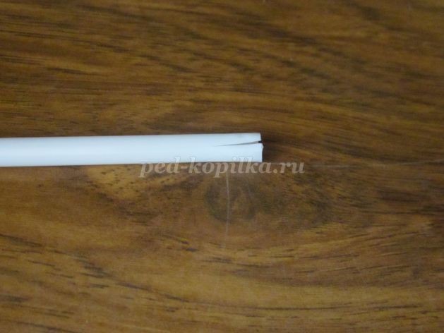 Солнышко из семян ясеня детскими руками: часть 2 Солнышко из семян ясеня детскими руками: часть 2