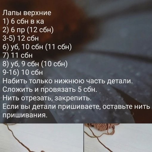 ����� �������