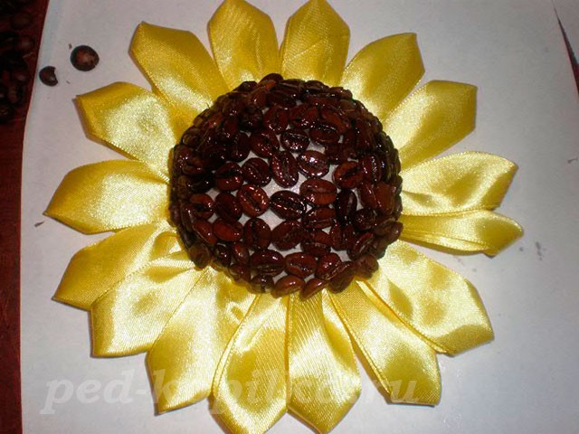 Подсолнухи из кофейных зёрен: мастер-класс Подсолнухи из кофейных зёрен: мастер-класс