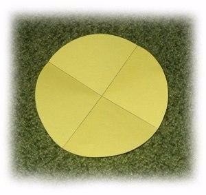 ​Огромные цветочки