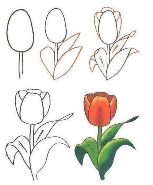 ​Учим детей рисовать разные цветы