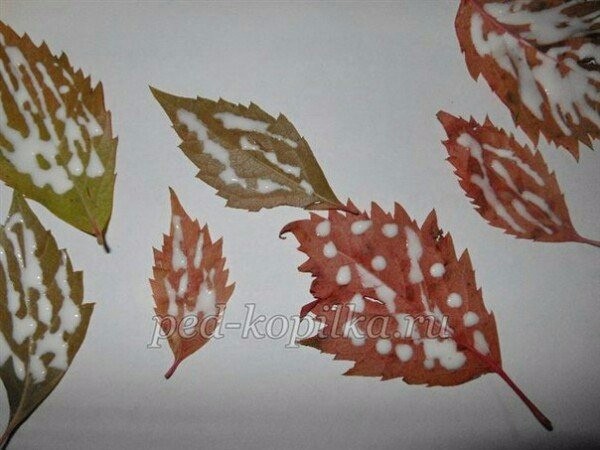 Осенняя композиция Осенняя композиция