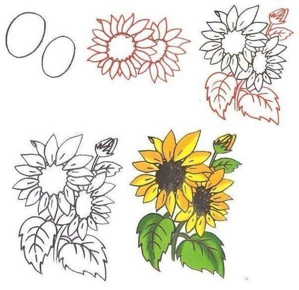Рисуем цветы