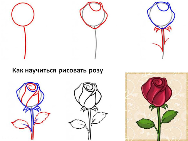 Рисуем розы