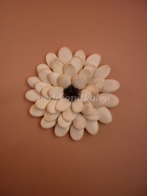 Цветы из тыквенных семечек детскими руками: мастер-класс Цветы из тыквенных семечек детскими руками: мастер-класс