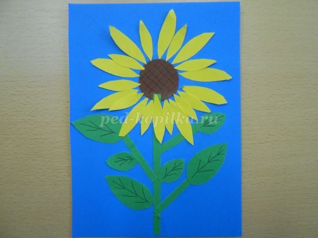 Аппликация из цветной бумаги "Подсолнухи": часть 2 Аппликация из цветной бумаги "Подсолнухи": часть 2