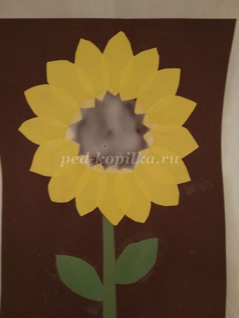 Подсолнух: часть 2