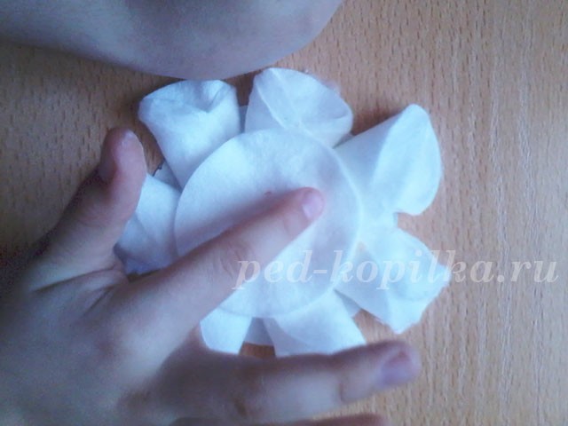 Поделки из ватных дисков: ромашки Поделки из ватных дисков: ромашки