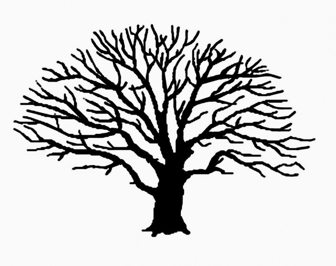 Рисуем листву дерева отпечатками пальцев Рисуем листву дерева отпечатками пальцев