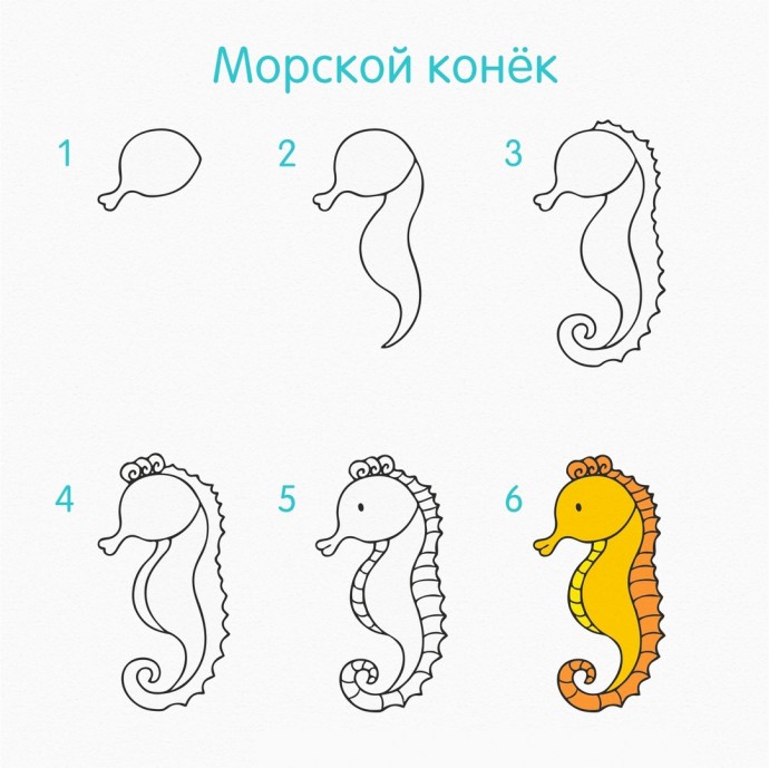 ​Рисуем морских жителей