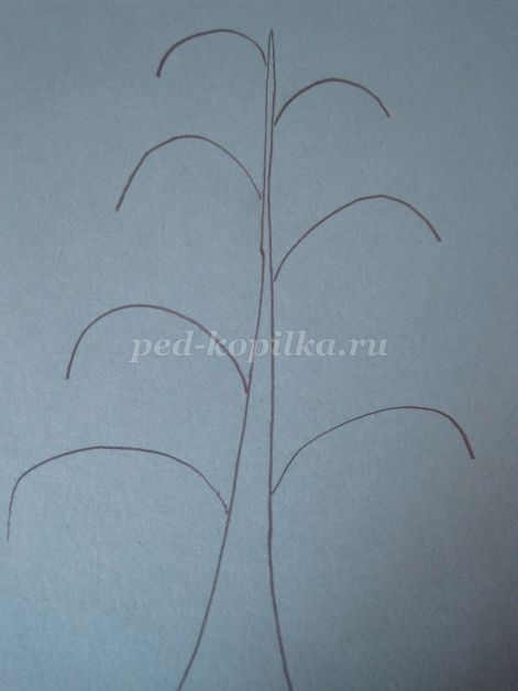 Береза в зимнем уборе: часть 1 Береза в зимнем уборе: часть 1