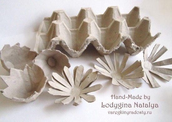 Цыплёнок вылупился Цыплёнок вылупился