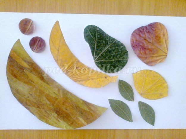 Аппликация из листьев: натюрморт Аппликация из листьев: натюрморт