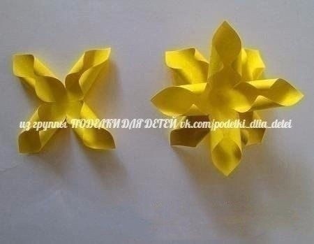 Объёмные нарциссы Объёмные нарциссы