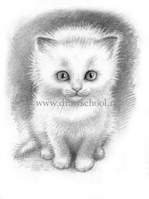 Рисуем простым карандашом милого котёнка