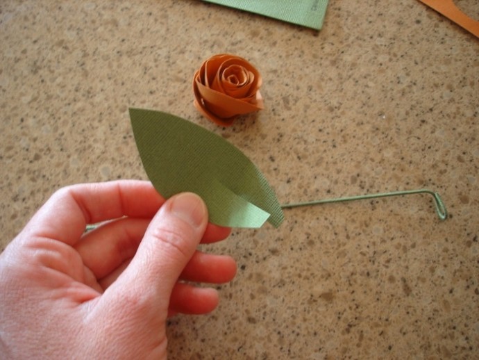 Крученные бумажные розочки Крученные бумажные розочки