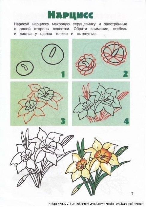 Учим детей рисовать цветы