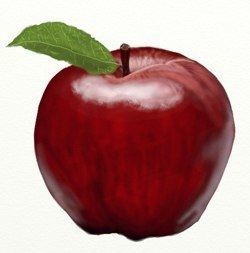 ​Учим детей рисовать правдоподобное яблоко
