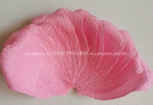 Прекрасные розы Прекрасные розы