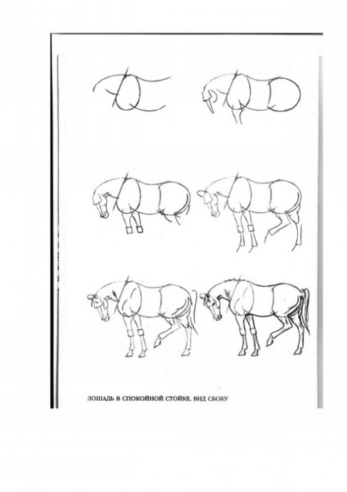 Рисуем лошадей