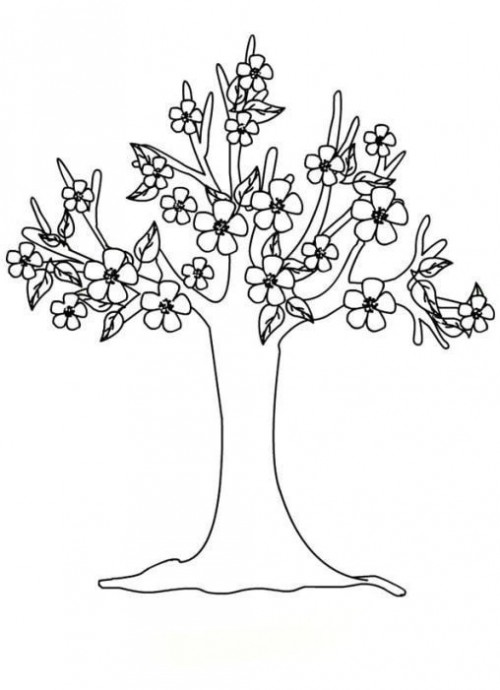 Весеннее дерево