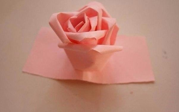 Нежные розы из бумаги Нежные розы из бумаги