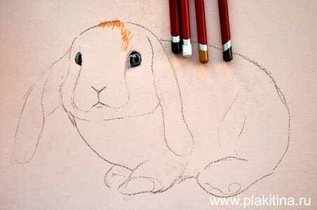 ​Рисуем зайца