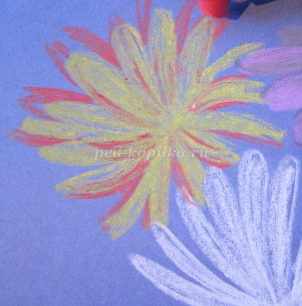 ​Как нарисовать астры в вазе: часть 1