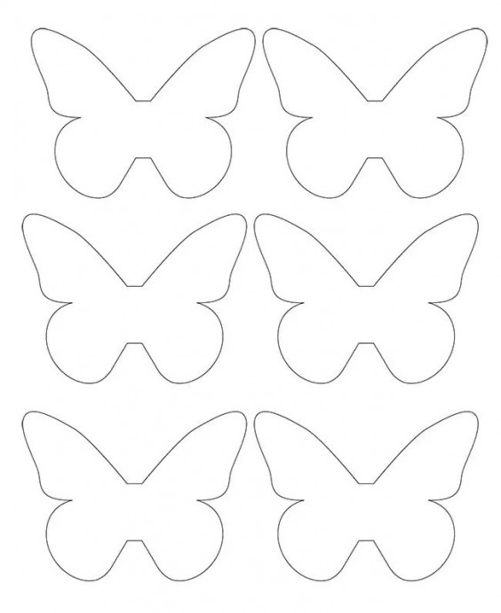 ​Банка с мотыльками