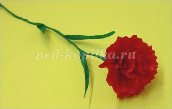 Гвоздика из креповой бумаги Гвоздика из креповой бумаги