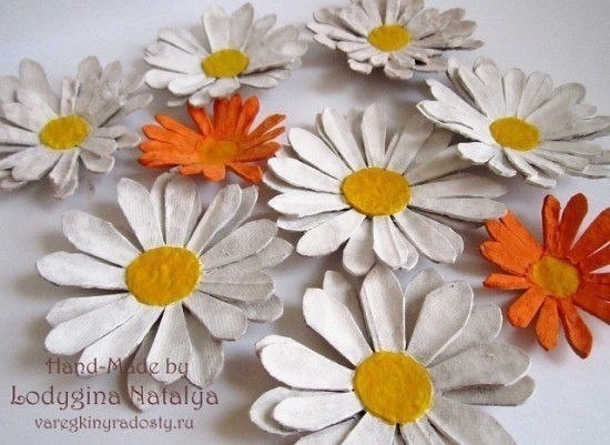 Цыплёнок вылупился Цыплёнок вылупился