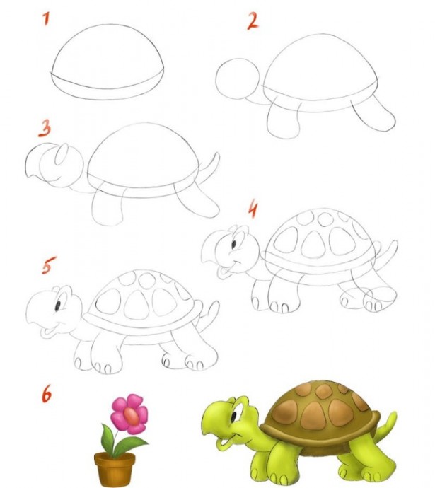 ​Рисуем с детьми черепаху
