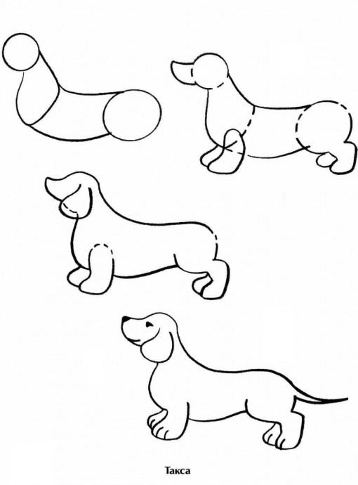 ​Рисуем с детьми собачек