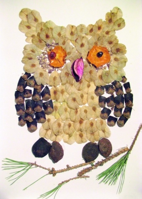 Совы из природных материалов